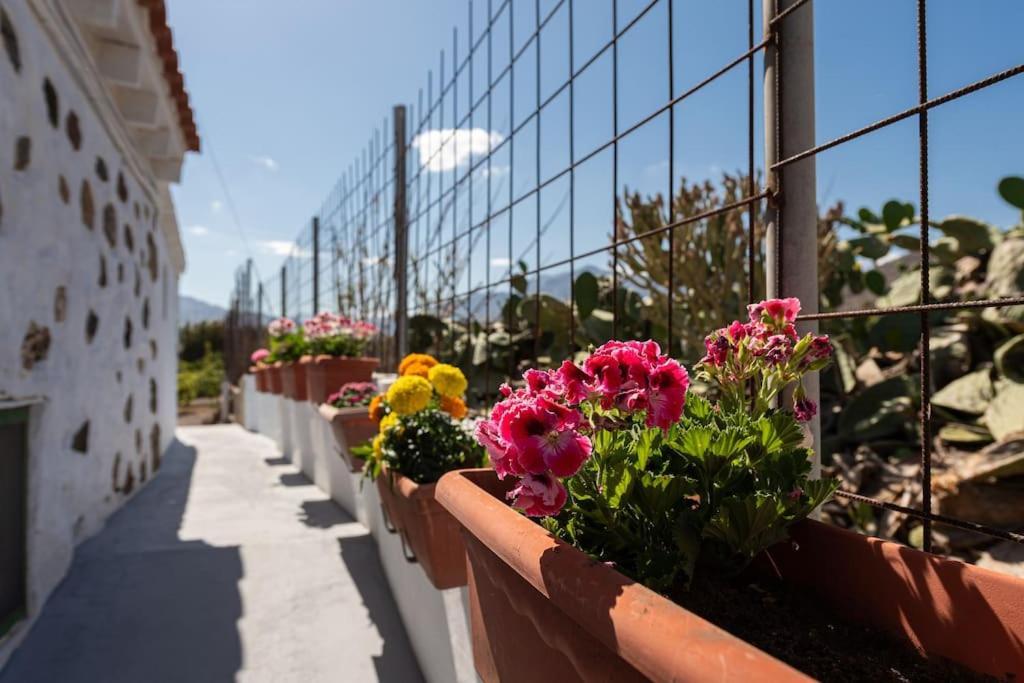 Vivienda Vacacional Ca' Pepita Y Jose El Albercon Экстерьер фото