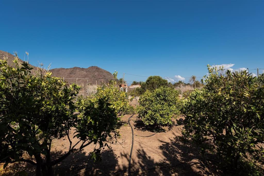 Vivienda Vacacional Ca' Pepita Y Jose El Albercon Экстерьер фото