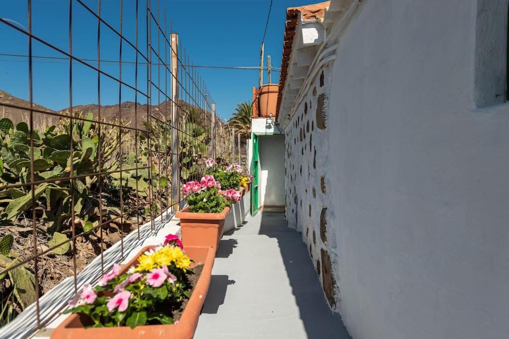Vivienda Vacacional Ca' Pepita Y Jose El Albercon Экстерьер фото