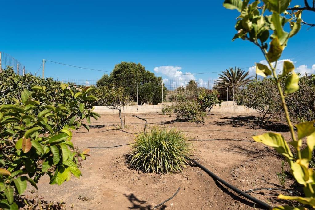Vivienda Vacacional Ca' Pepita Y Jose El Albercon Экстерьер фото